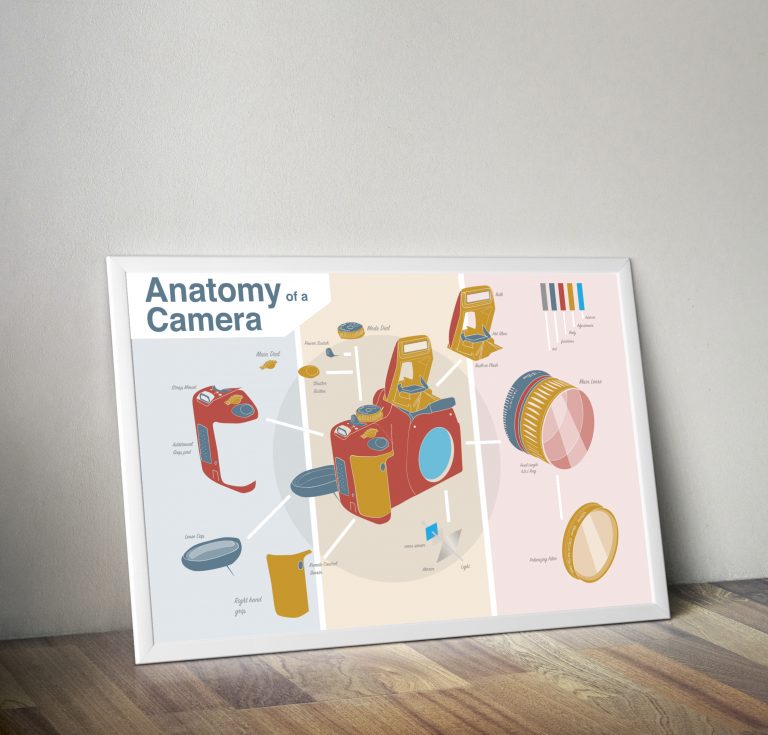 anatomy of a camera