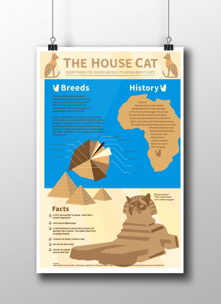 Cat Infographic